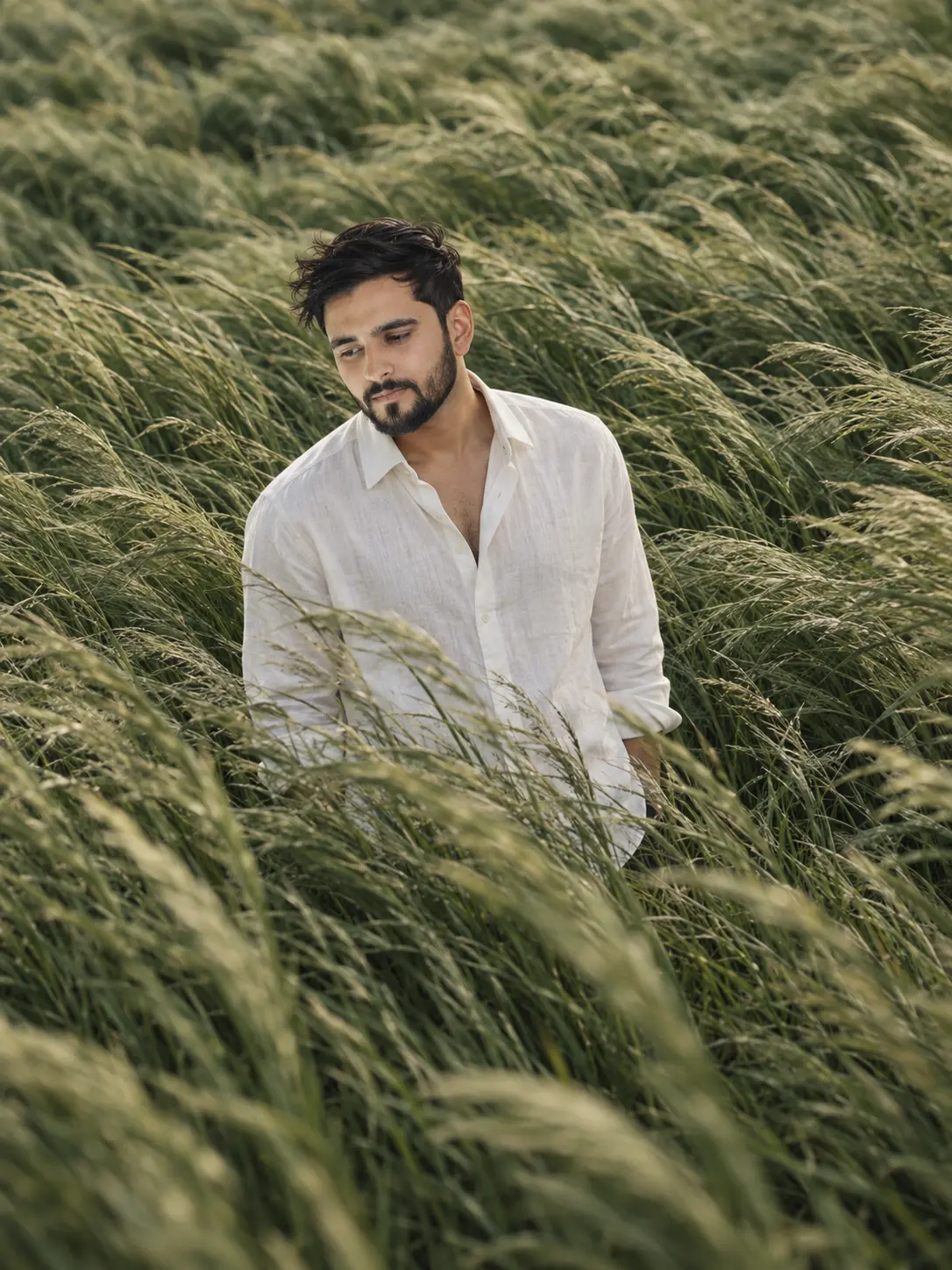 Windswept Field Portrait
